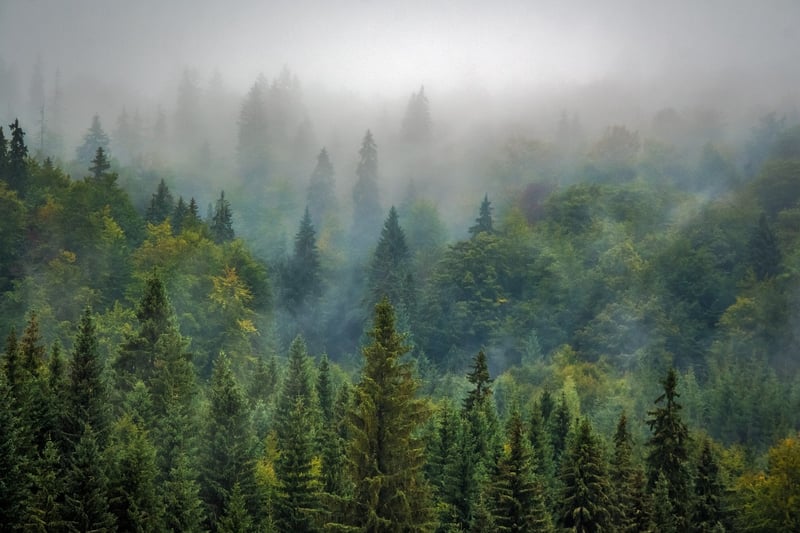 Mystical Realm